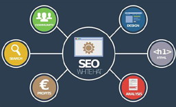 横岗网站SEO 优化  推广